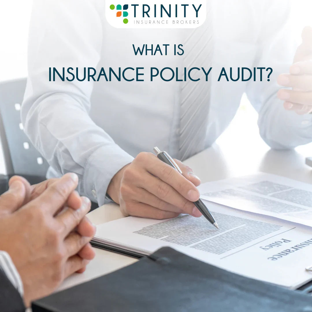 what-is-insurance-policy-audit-trinity-insurance-and-reinsurance